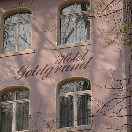 Hotel Goldgrund Мейсен Номер фото
